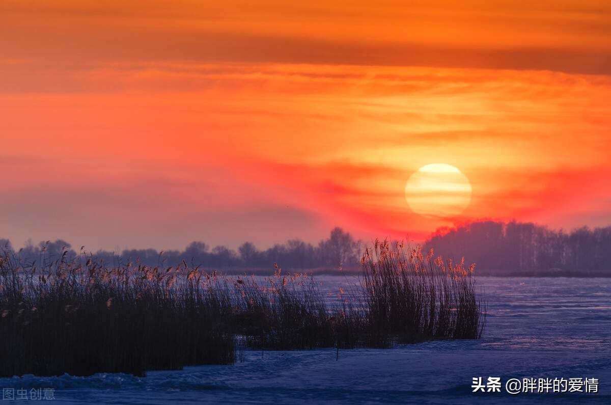 星光不问赶路人时光不负有心人；发自己的光就好不要吹灭别人的灯