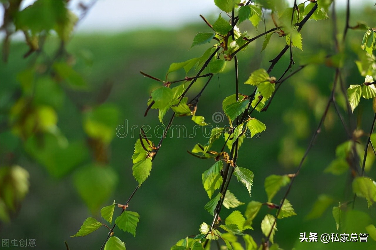 很多父母对自己子女说：你毕业了就回老家