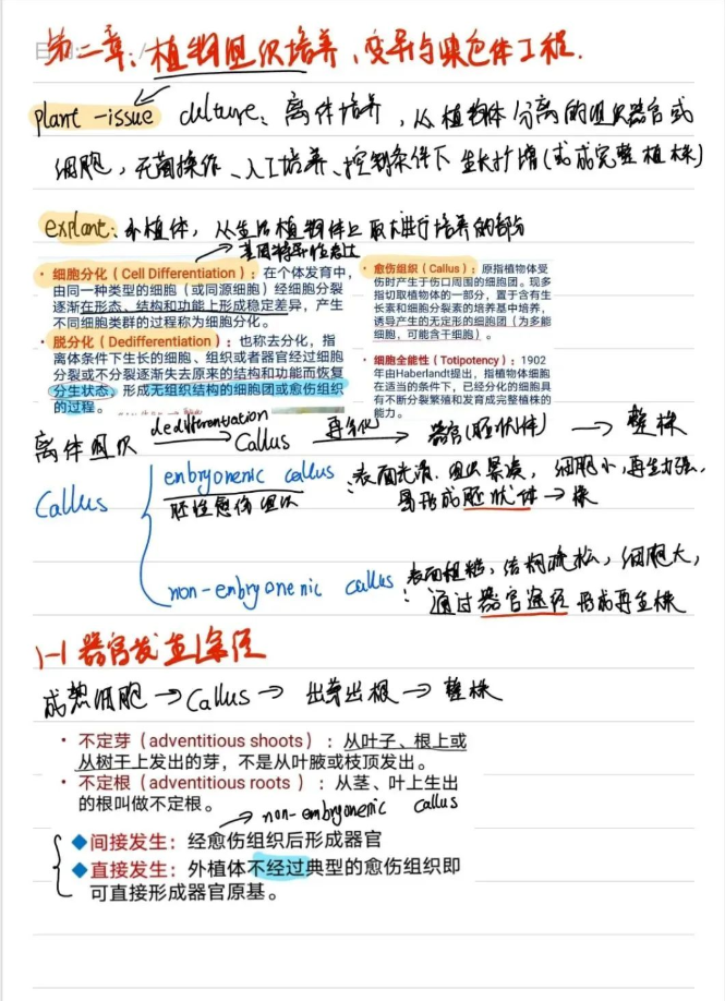 人体器官位置图(火了！兰州大学“学霸笔记”：手绘人体器官！网友：堪比印刷！)