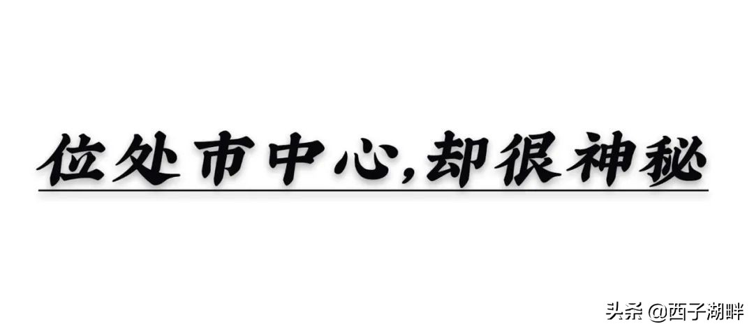 惠州西子湖畔招聘官网（惠州这个公园位于市中心）