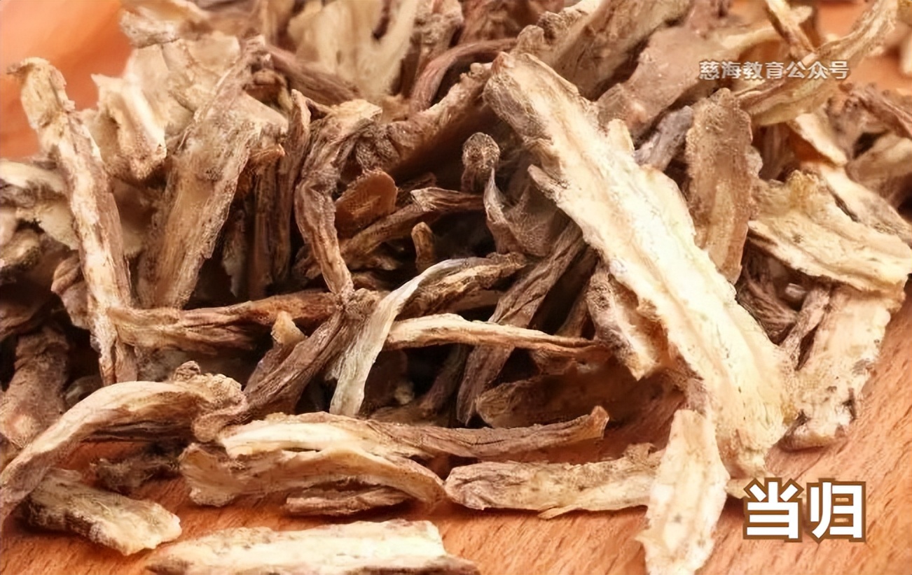 每天学习一味中药——当归