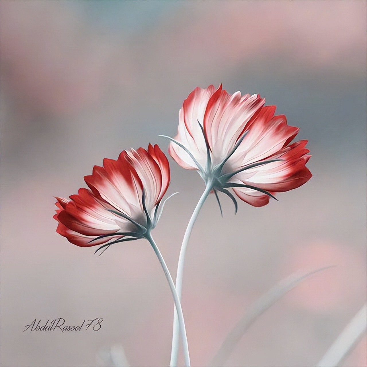 有哪些宣泄情绪专用唯美说说心情短语?