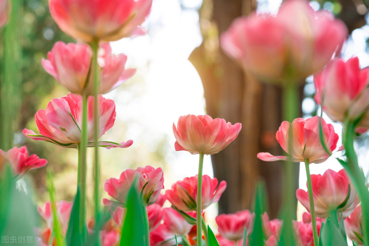 人生感悟精辟短句子,深情伤感情感文案,朋友圈个性签名说说语录