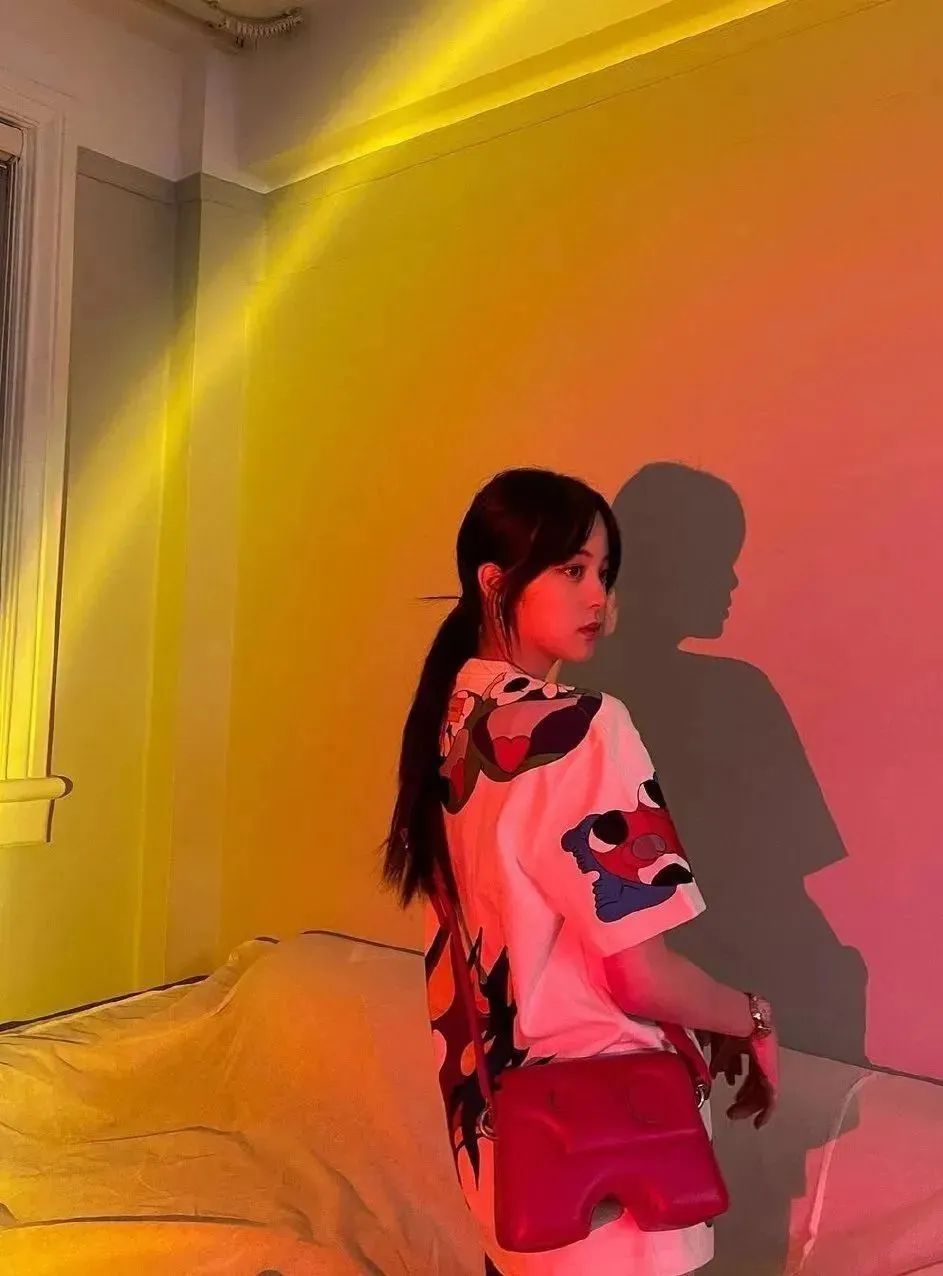 陈伟霆的镜子、井柏然的香氛、刘雯的沙发，就是我的梦中情家