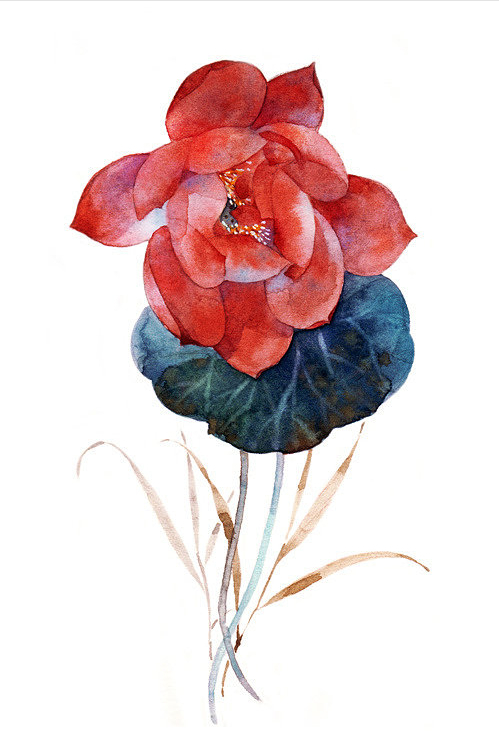 荷风莲香，史上最唯美的60句荷花古诗词（建议收藏）