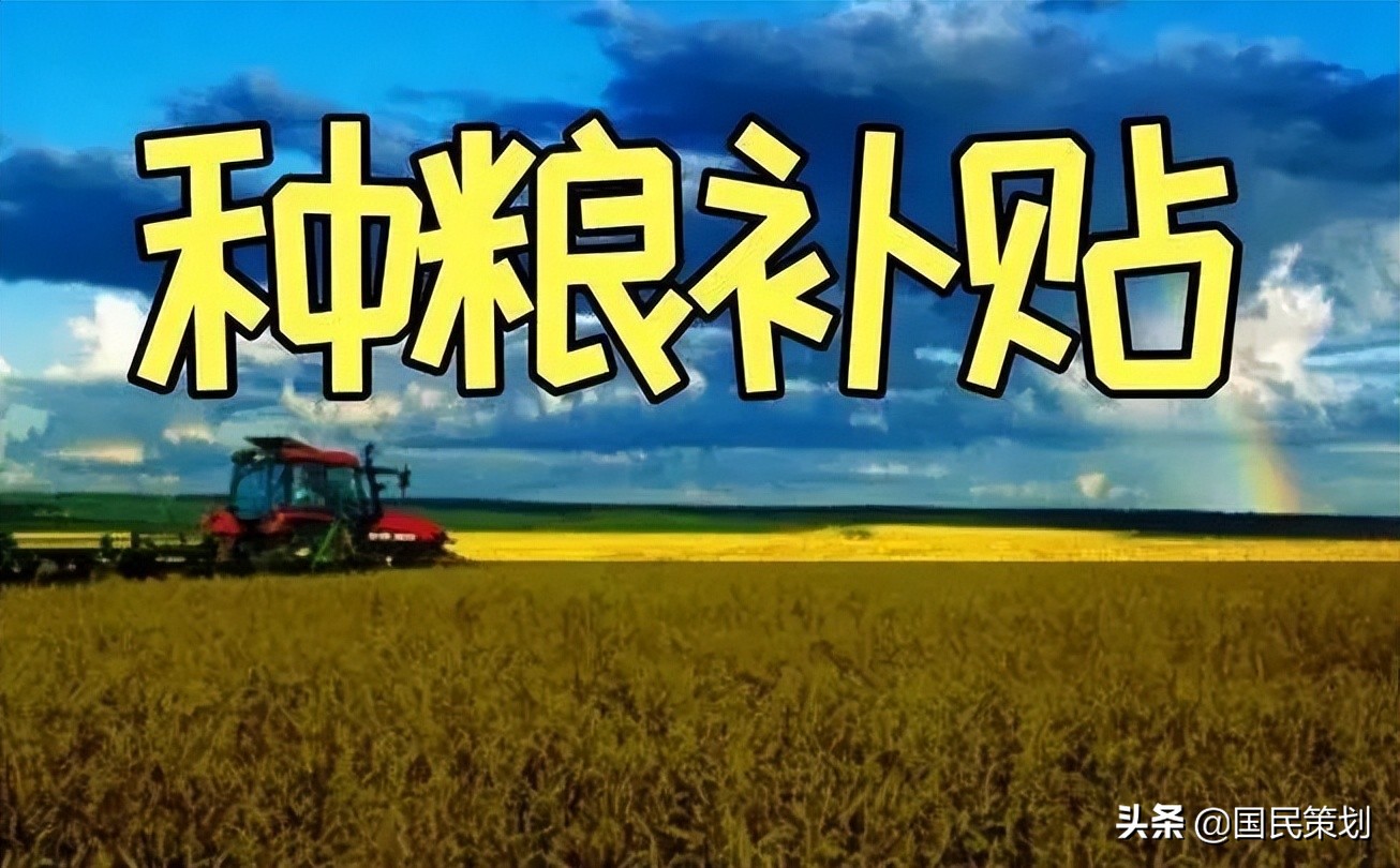 粮食危机？中国抓紧落实九个方面，给农民发放补贴，这样应对