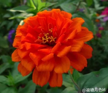 春天里，春风得意马蹄疾，一日看尽长安花
