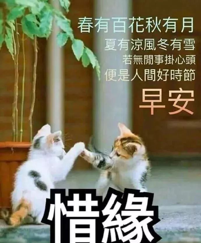 微信群发最新早上好动态图片表情，祝你从早到晚好运连连图片