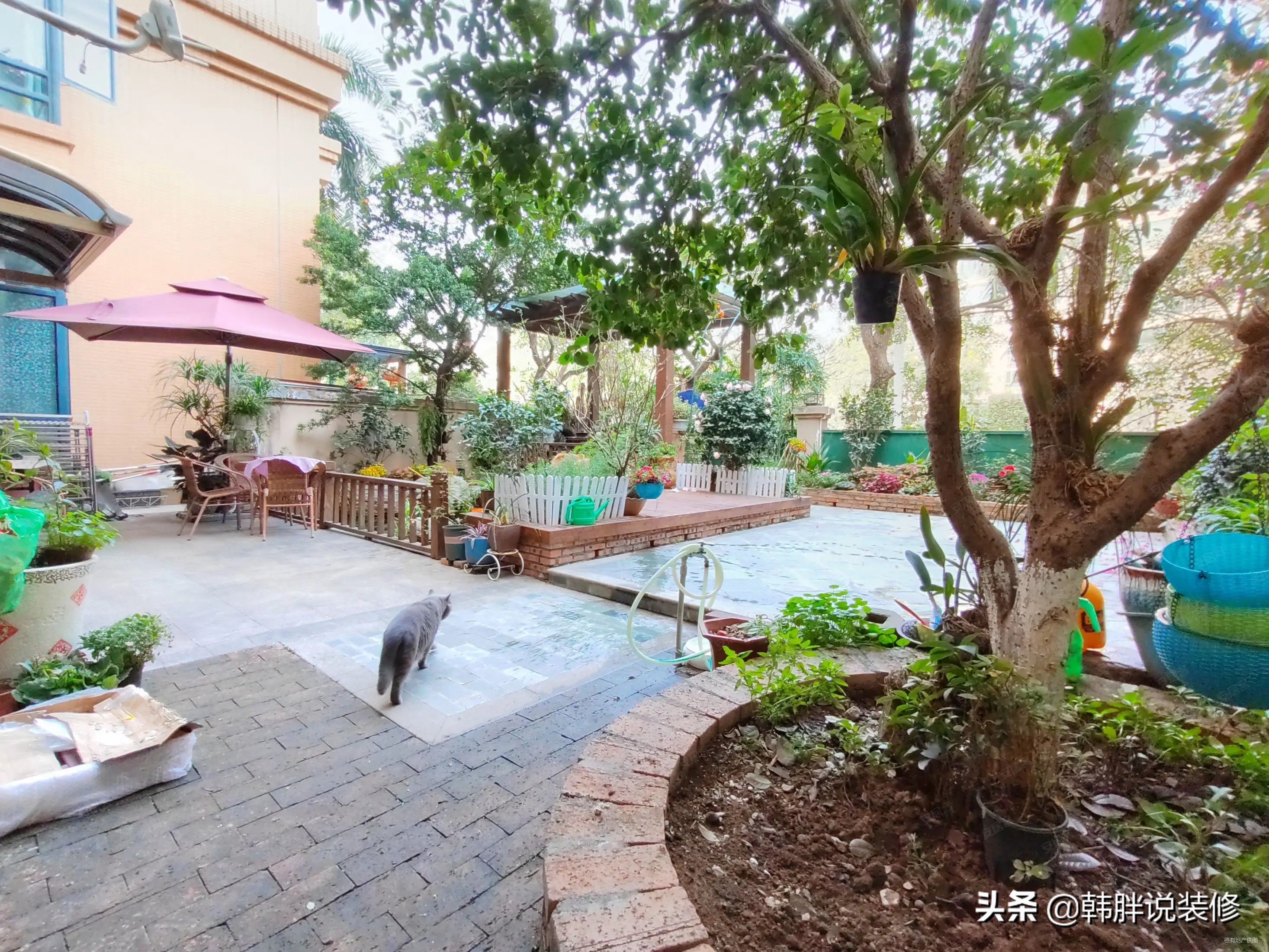 一楼住了3年，简直是苦不堪言，无奈搬到顶楼，生活得到极大改善