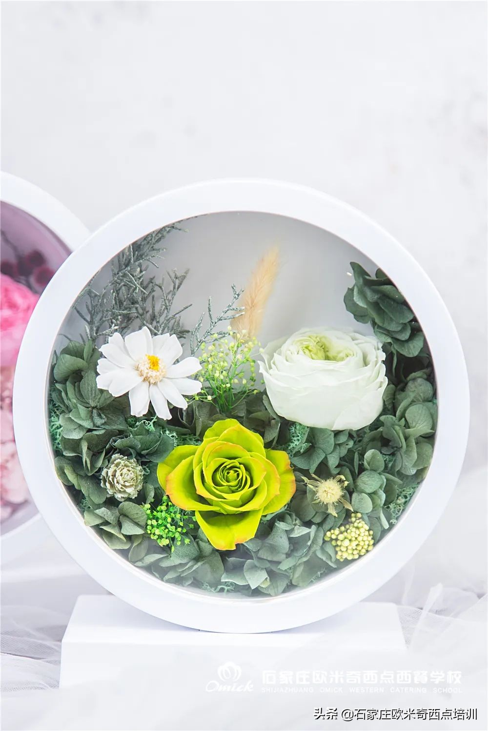 石家庄欧米奇 | 我把春天藏在同学们的作品里