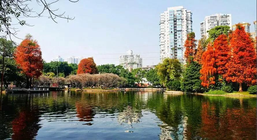 带你逛遍广州这9个免费特色景点，你去过几个？