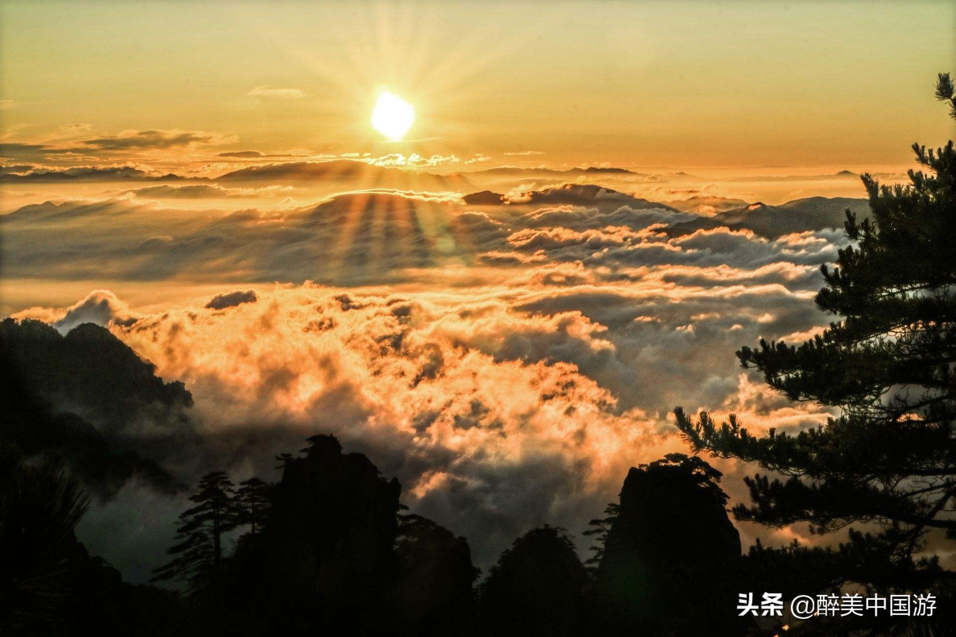 黄山最强攻略，美景一处不落，省时省力