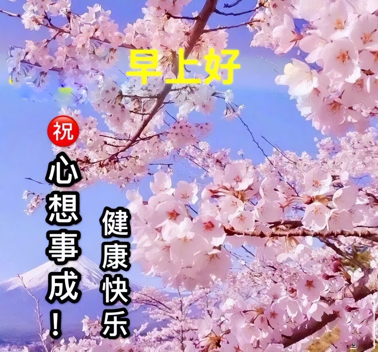 周四愉快 初春早上好温馨问候语 早安吉祥带字祝福早上好图片大全图片