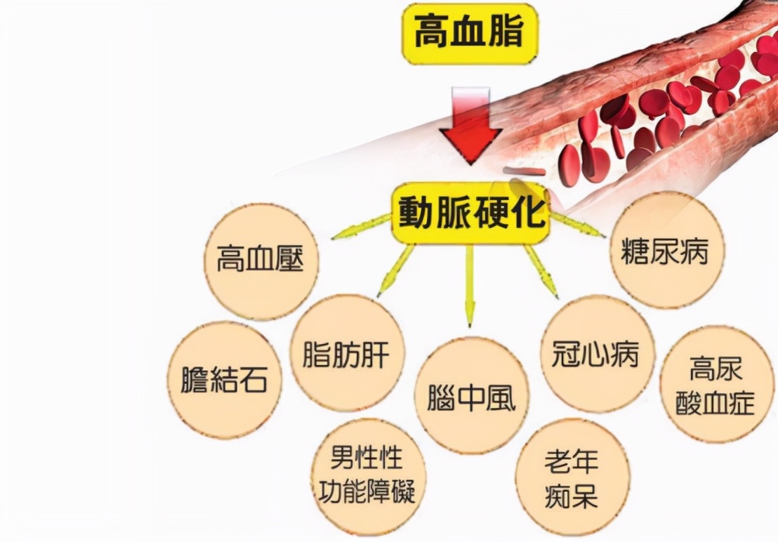 血脂康降脂效果与他汀相当，保护血管，改善胰岛素抵抗