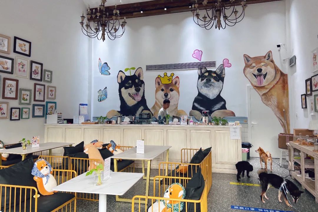 苏州新晋网红艺术街区，不用去法国，就能遇见卢浮宫！周末走起