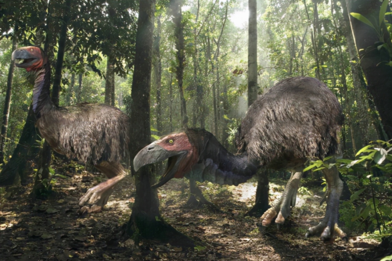 宇宙十大恐怖生物(盘点地球上曾经存在过的10种可怕的远古生物)