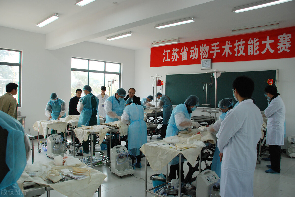 职业学校（5所高职院校）