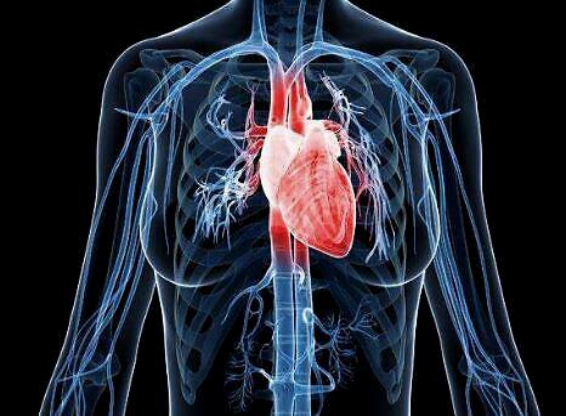 心脏支架是治病救人还是害人?术后有哪些注意事项?告诉你真相