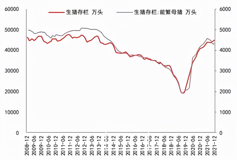 牛钱豆粕周报—南美减产行情透支，但美豆需求强劲，尝试逢低做多