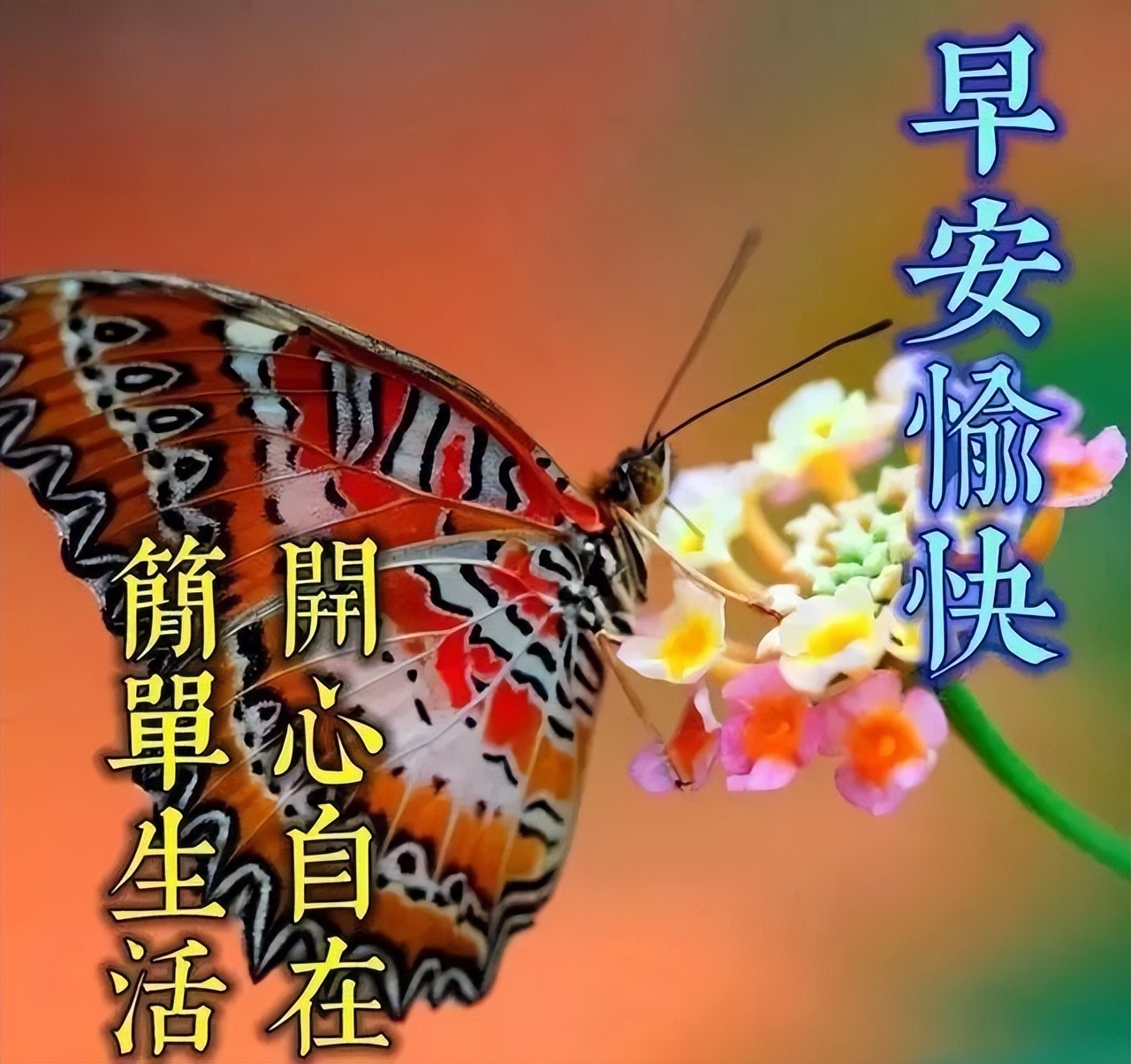 早上好问候语温馨语句 今日更新早上好动态表情包 亲爱的朋友早上好图片