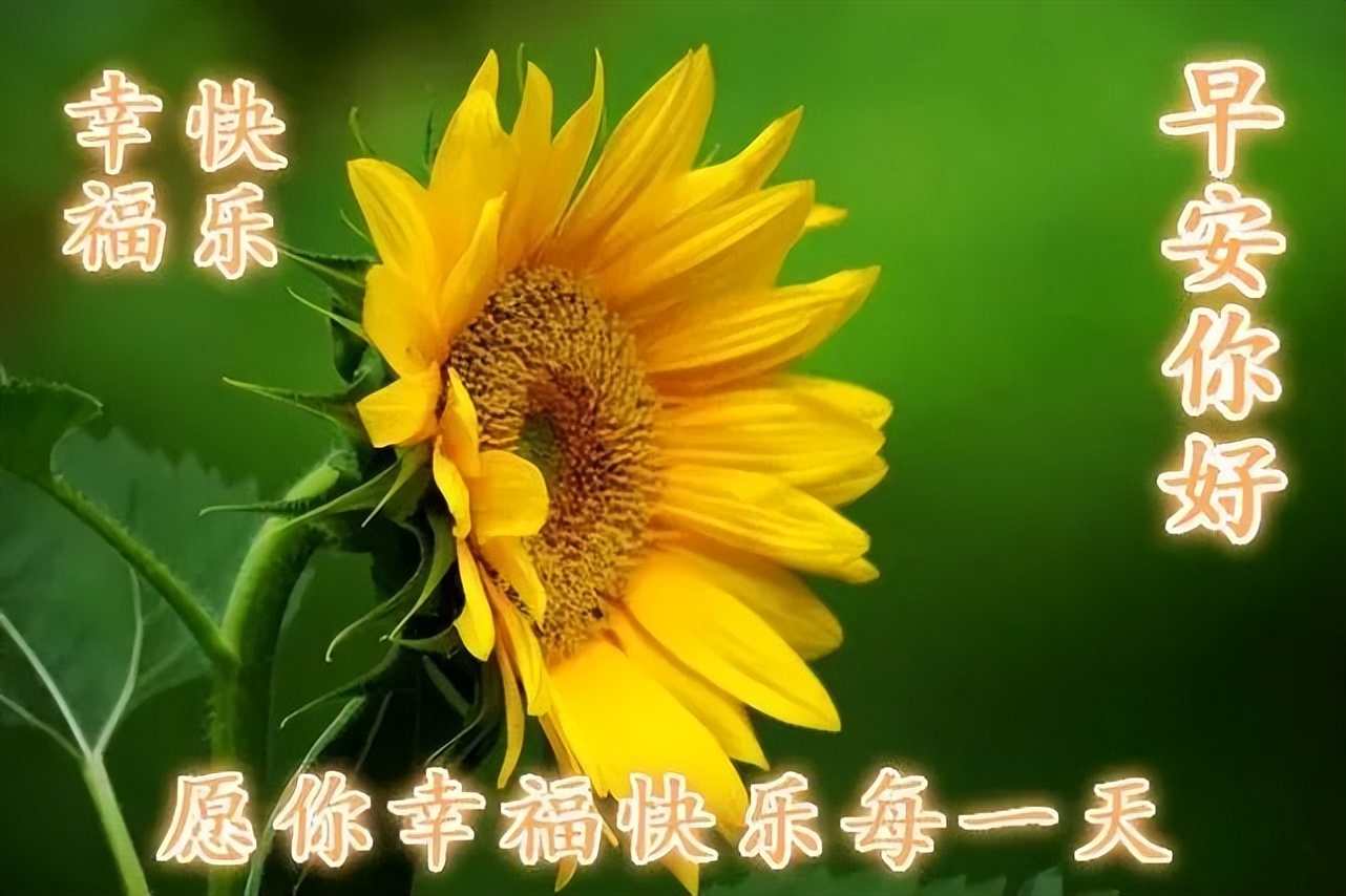 最新温馨早上好祝福图片漂亮带字带表情 天天开心迎接美好的今天图片