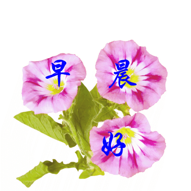 朋友圈早安励志文案，舍才是得最大的机会图片