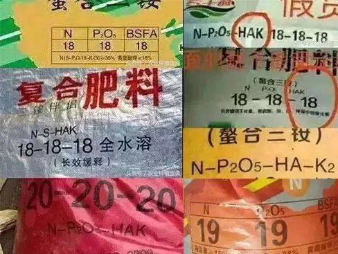 如何识别真假复合肥(如何识别真假复合肥料)