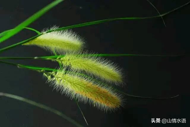 平凡的人生！不平凡的过！认清自己，停止抱怨