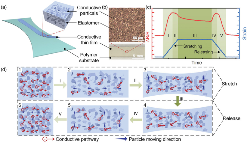 《AFM》清华大学：可打印导电弹性体用于高保真监测动态应变