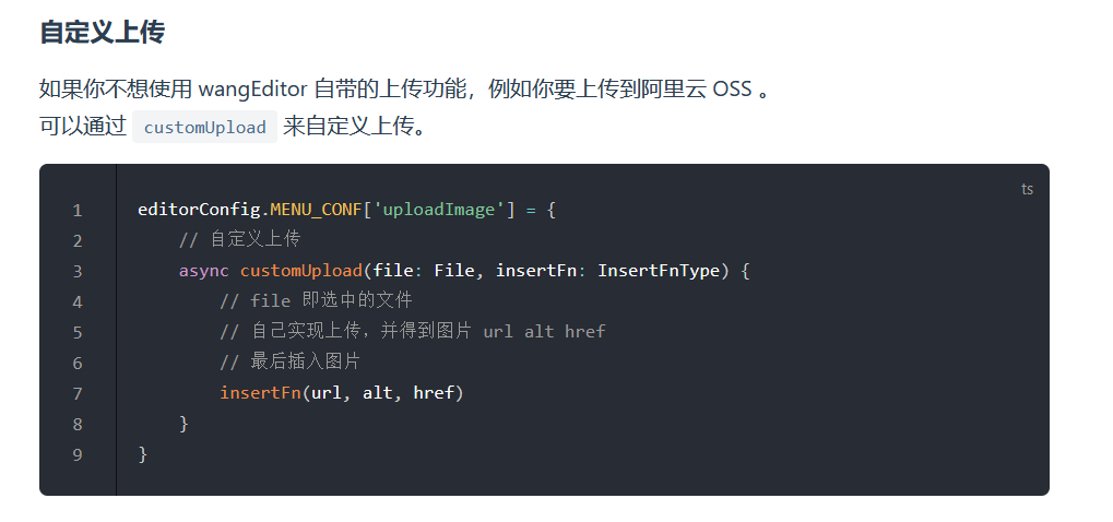 VUE前端编程：wangEditor5 定制图片上传
