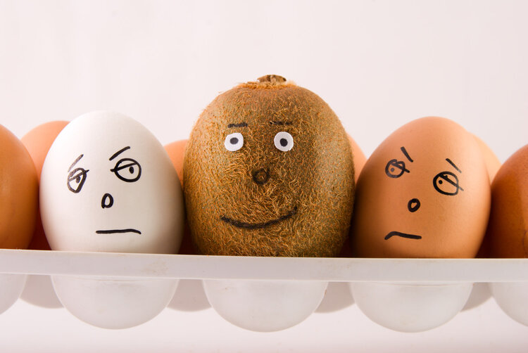 浙大研究：每天多吃一個蛋，心髒病和癌症死亡風險或升高？ 真的嗎