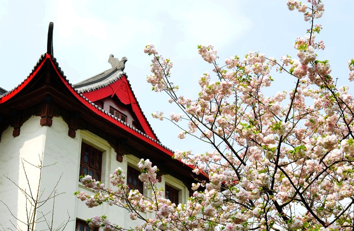 倒计时1天，高考加油！四川大学已准备好，等你赴约！