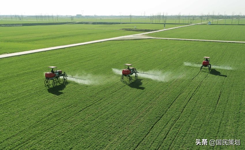 全面推行田长制？从农业产业融合发展项目开始，3大载体