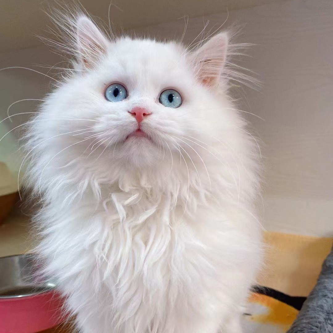 这几点太可怕了