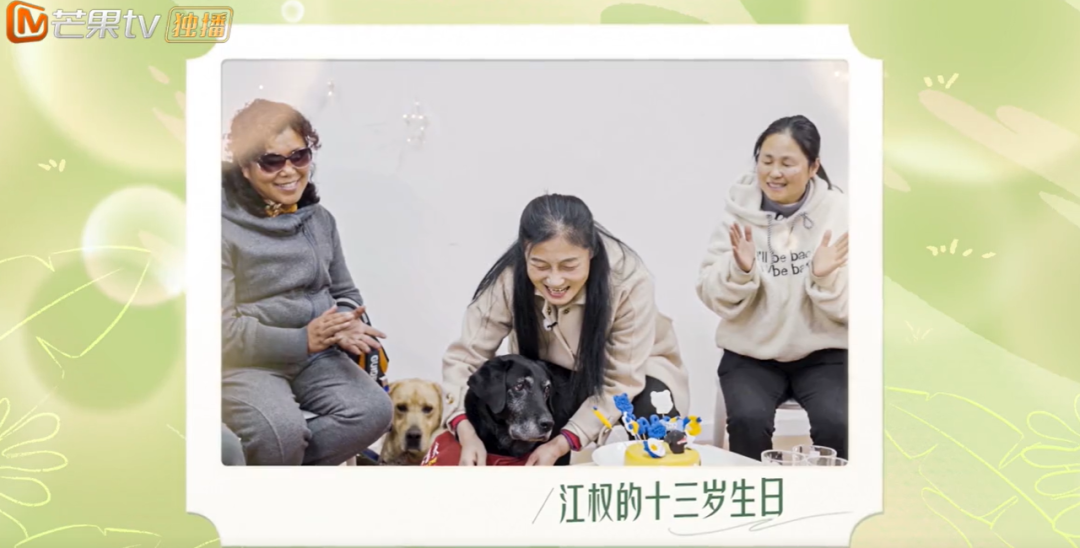 10分钟看哭7次！当他们不再“有用”的时候，却也无法正常生活