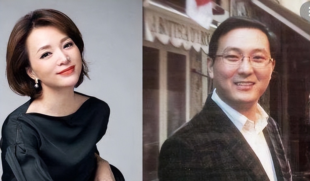 董卿丈夫密春雷及览海控股被执行超7亿 此前密春雷已失联超3个月