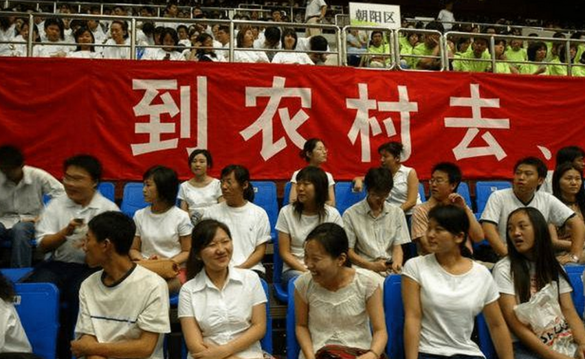 公务员晒“辞职信”，引起很多同行的共鸣，辞职理由引人深思