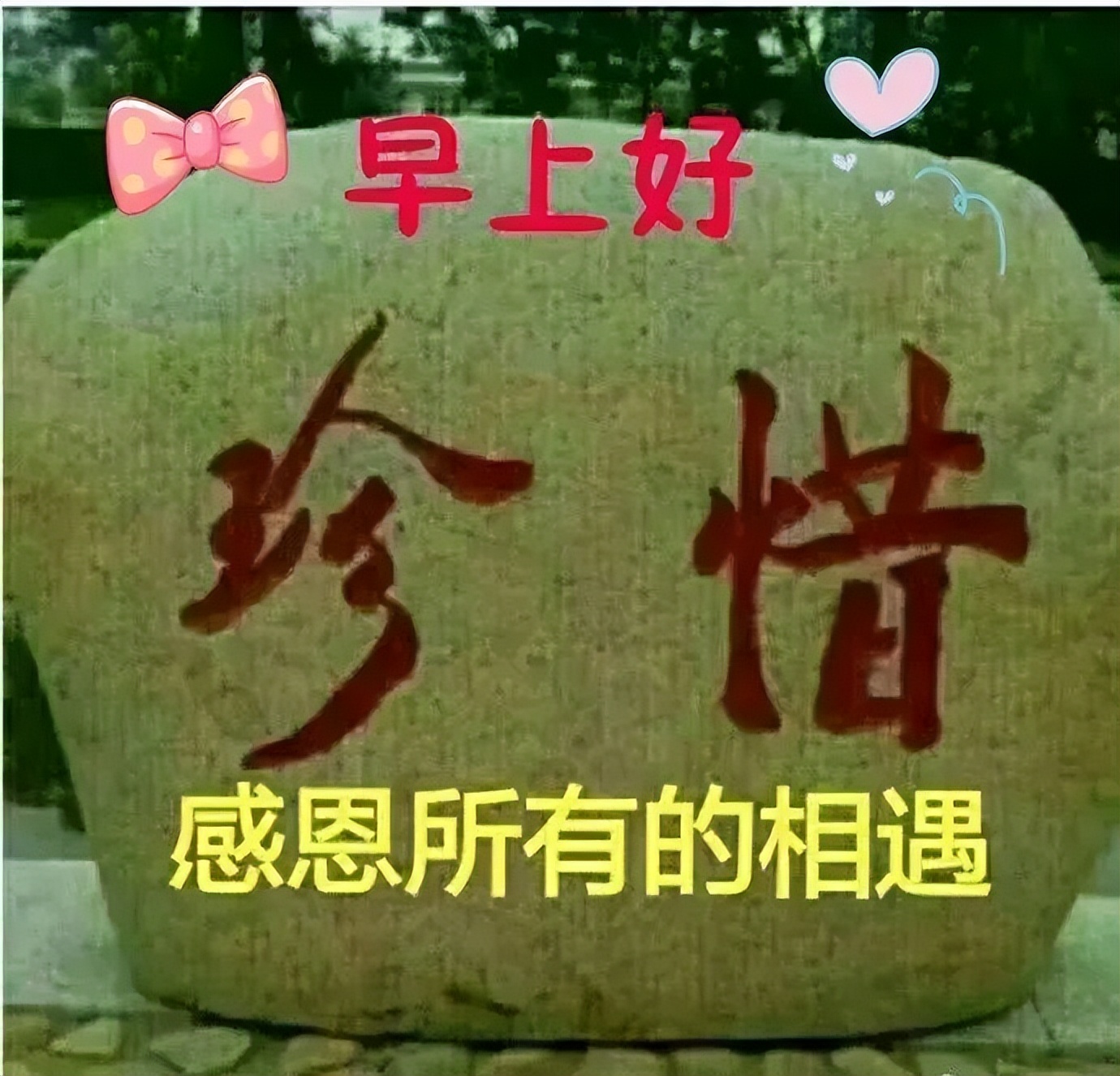 五月周末早上好问候语图片，漂亮早安问候语美图图片