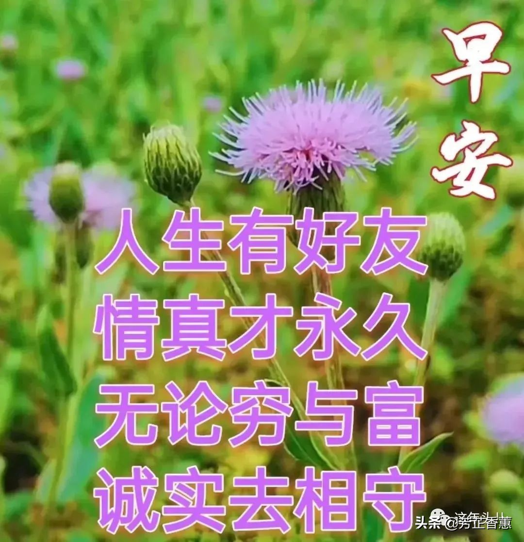 平安是福最好的圖片(最新早上好表情包圖片大全) - 赤虎壹號