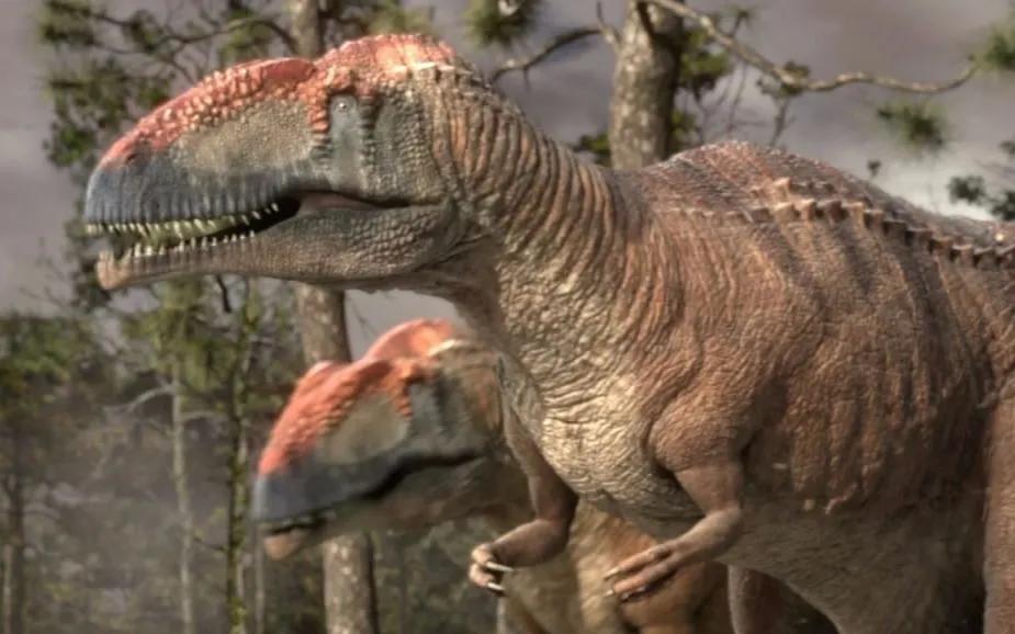 南方巨兽龙vs霸王龙