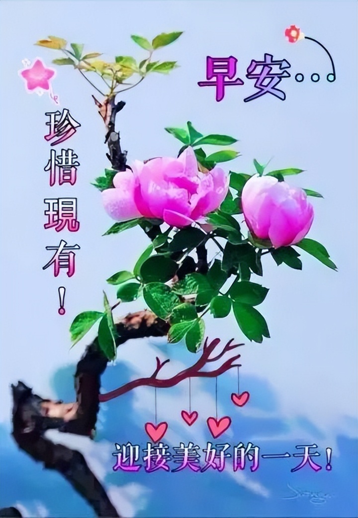 好看的早上好图片带祝福语，唯美春天早安问候图片，早安喜悦图片