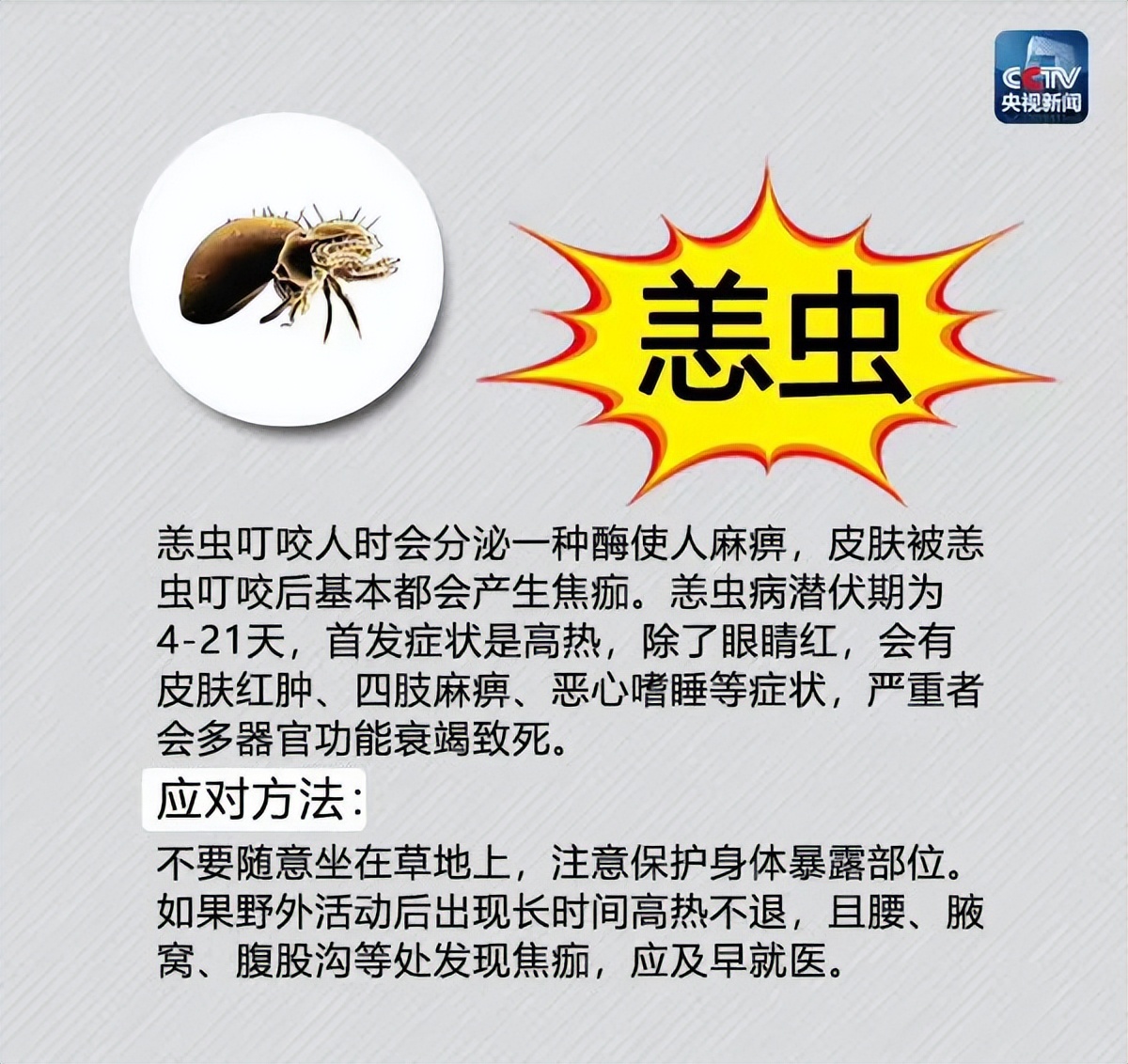 夏季蚊虫出没,这份最全防虫手册及应对方法请收好!
