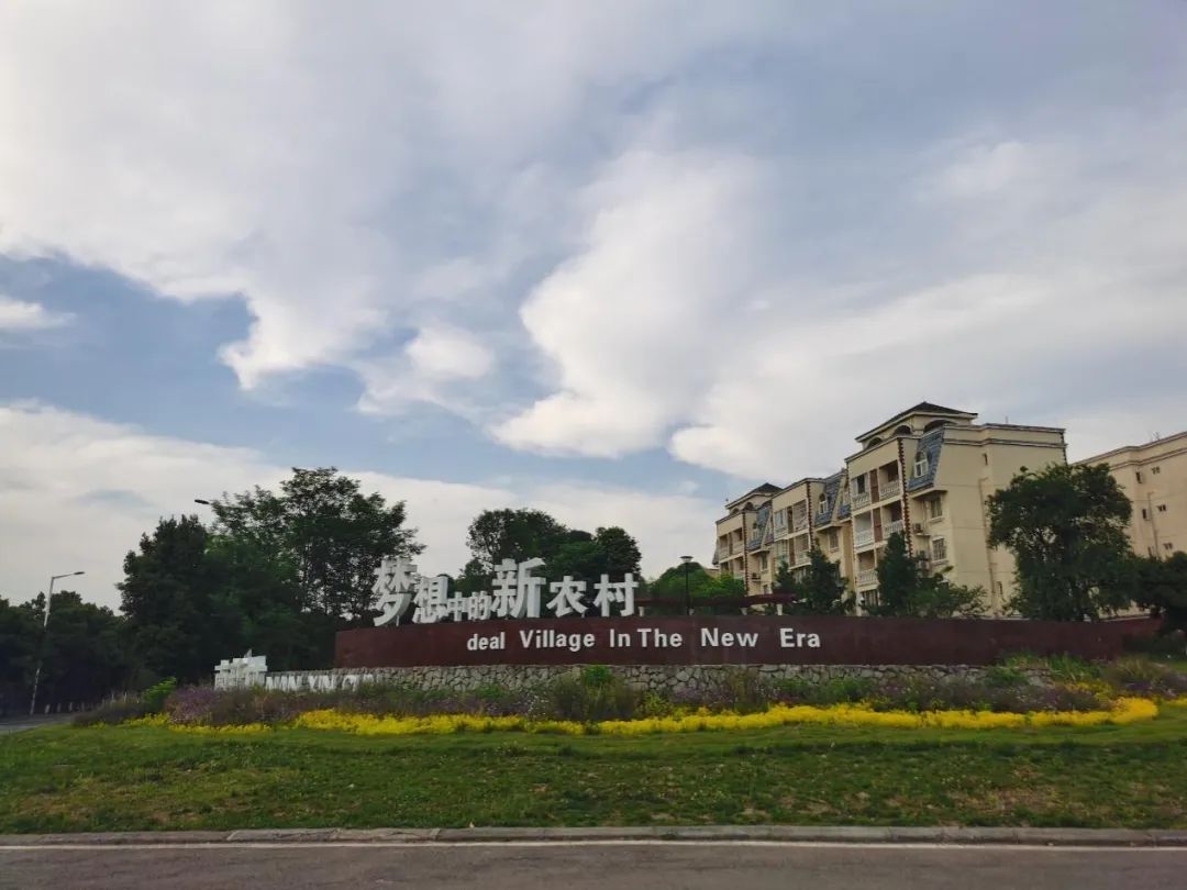 寻迹、逐梦 | 煎茶小学团支部组织青年老师们走进新农村——南新村