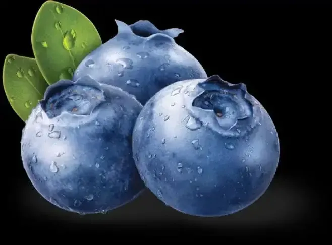 蓝莓的成分功效(蓝莓的成份、功效、食用方法)