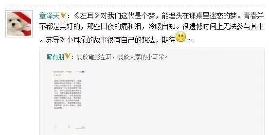 清纯校花误入名利场，会发生什么？是完成阶级跳越还是沦为三线？