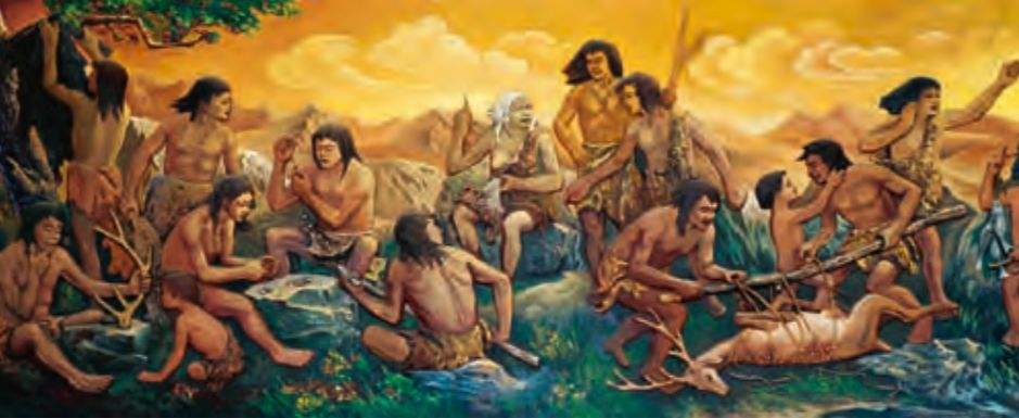 ��������ձ�ѡ�����˥�ϣ��������������⾿����Ϊʲô��