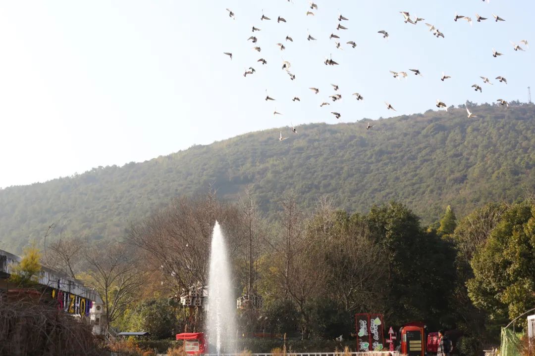 苏州新晋网红艺术街区，不用去法国，就能遇见卢浮宫！周末走起