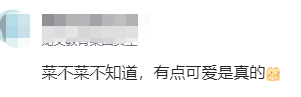 程序員的工資有多高？看工位就知道了