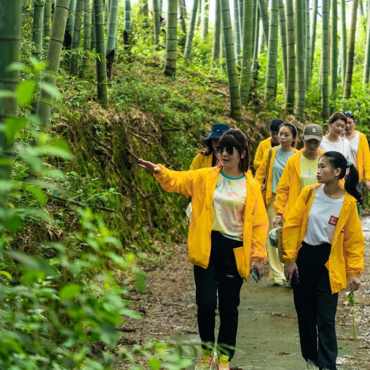 广福心道山东团队上山温习茶学，深度考察“两”厂底蕴