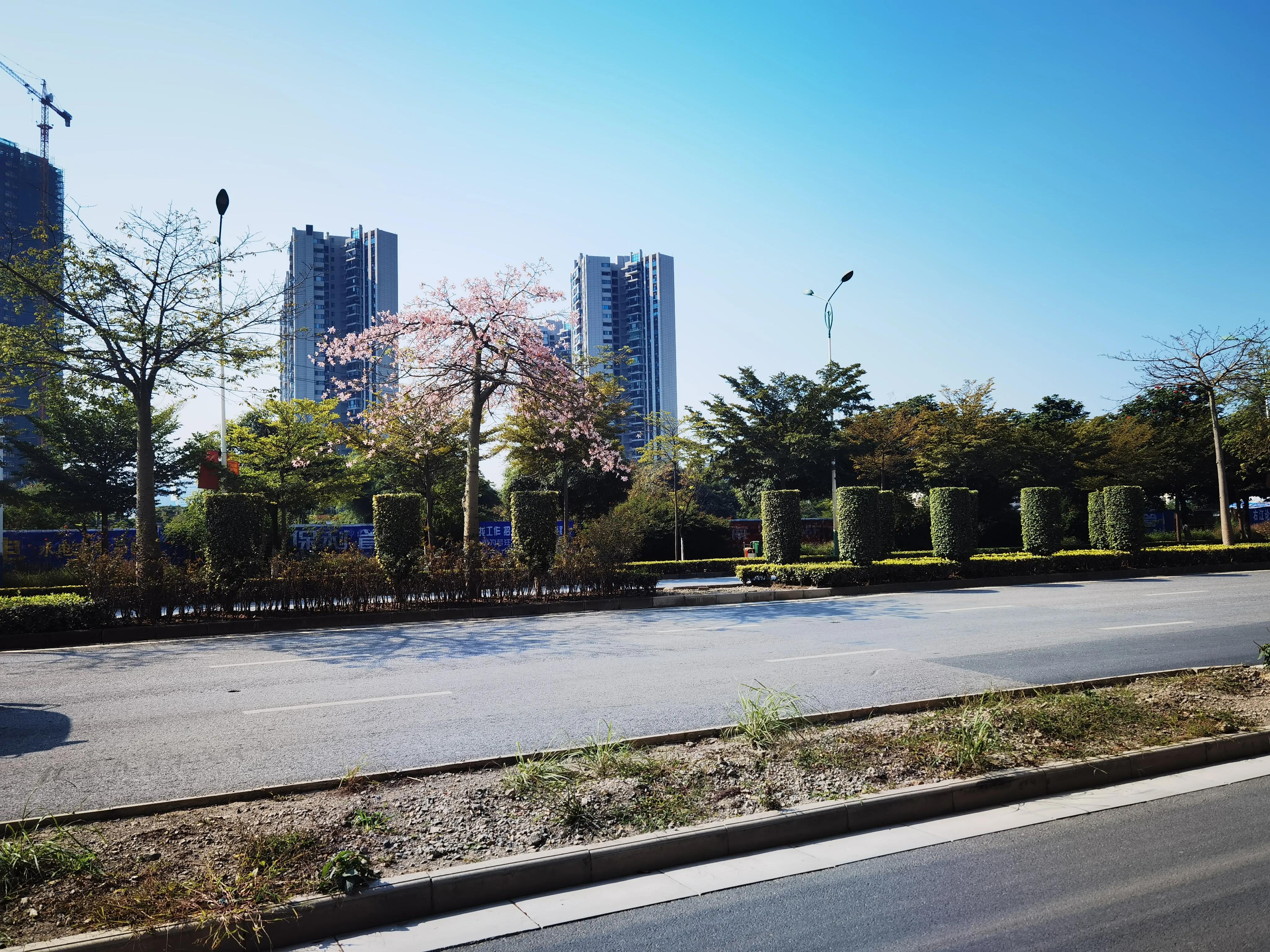 百色市站前大道“白改黑”工程即将完工 百色,百色市,站前,大道,工程